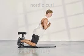 nordic curl